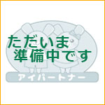 ニュース
